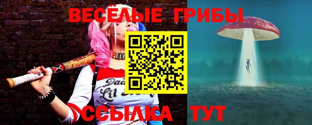 Псилоцибиновые грибы мухоморы Минеральные Воды