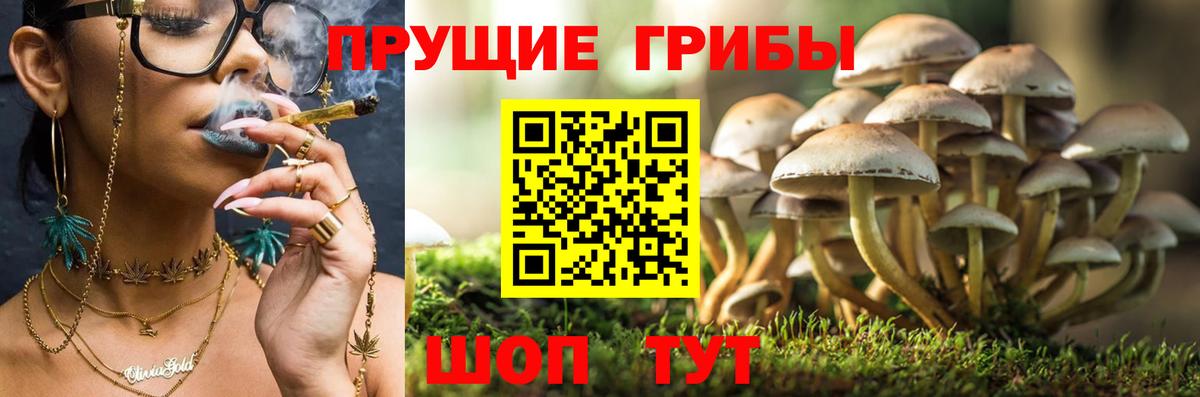 Галлюциногенные грибы мицелий  Вход с VPN  Минеральные Воды 